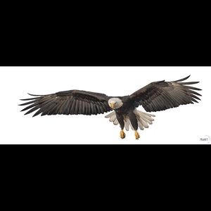 Meet your Posher, Moses